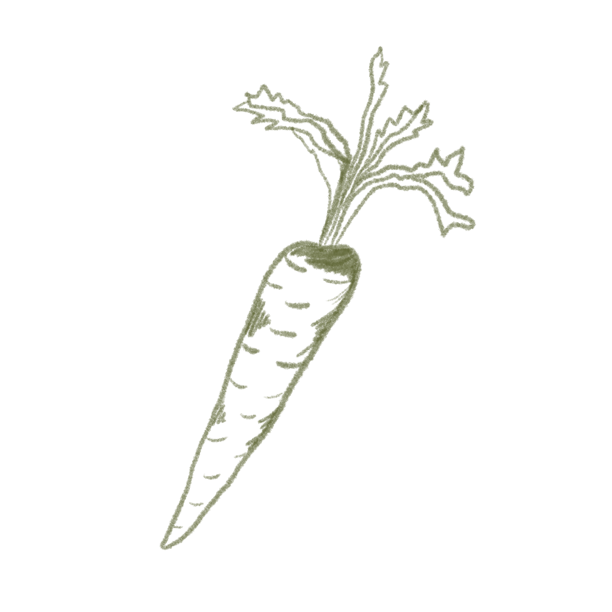 Carrot