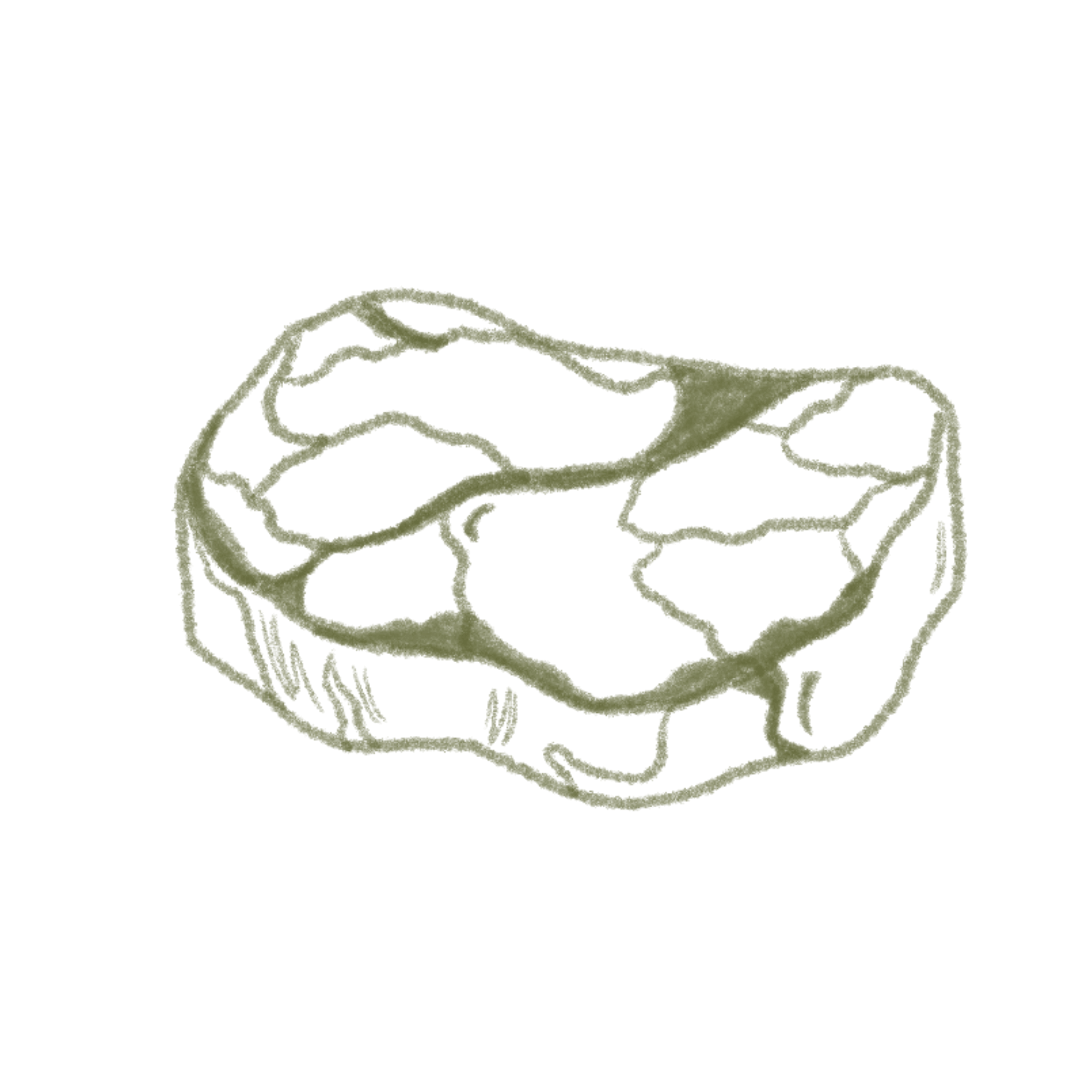 Meat